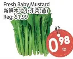 Fresh Palace Supermarket Fresh Baby Mustard offer