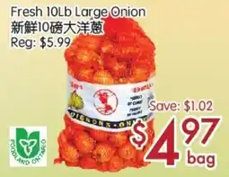 Sunny Food Mart Fresh Large Onion offer