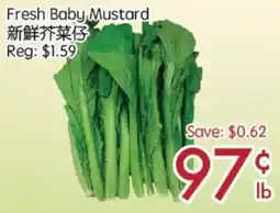 Sunny Food Mart Fresh Baby Mustard offer