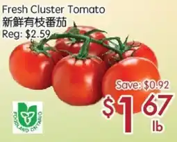 Sunny Food Mart Fresh Cluster Tomato offer
