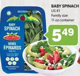 Colemans Queen Victoria baby spinach offer
