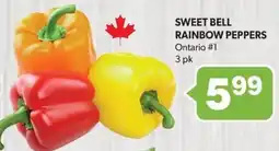 Colemans Sweet bell rainbow peppers offer
