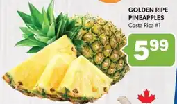 Colemans Golden ripe pineapples offer