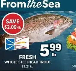 Colemans Fresh whole steelhead trout offer