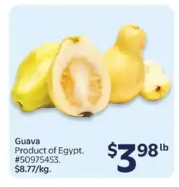 Walmart GUAVA offer