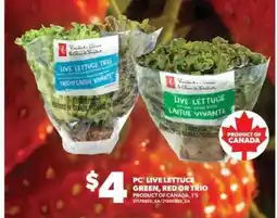 Real Canadian Superstore PC Live Lettuce offer