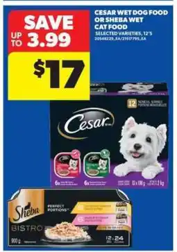 Real Canadian Superstore Cesar Wet Dog Food or Sheba Wet Cat Food offer