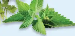 Walmart Mint Bunch offer