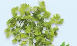 Walmart Cilantro Bunch offer