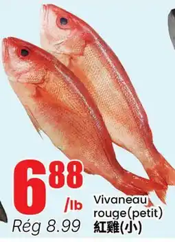 Btrust Supermarket Vivaneau rouge (petit) offer