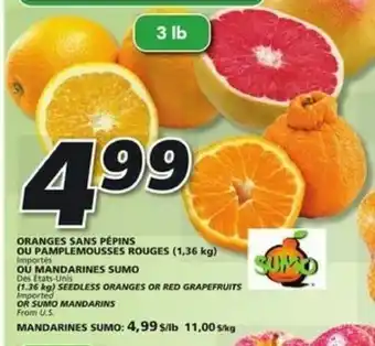 IGA Oranges Sans Pépins offer