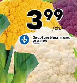 Val-Mont Choux-fleurs blancs, mauves ou oranges offer