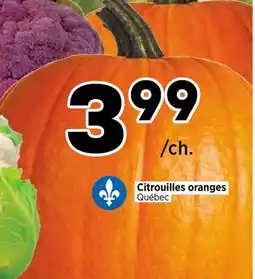 Val-Mont Citrouilles oranges offer