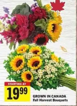 Co-op Fall Harvest Bouquets offer