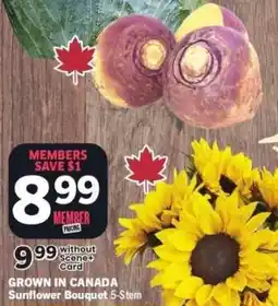 Co-op Sunflower Bouquet 5-Stem offer