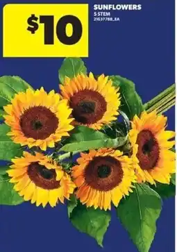 Real Canadian Superstore Sunflowers offer
