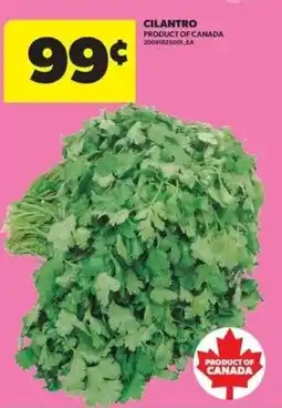 Real Canadian Superstore Cilantro offer