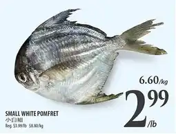 Al Premium Food Mart Small white pomfret offer