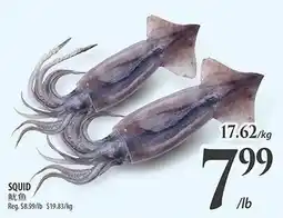 Al Premium Food Mart Squid offer