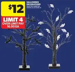 Real Canadian Superstore Halloween Decorations offer