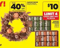 Real Canadian Superstore Harvest decor selected varieties offer