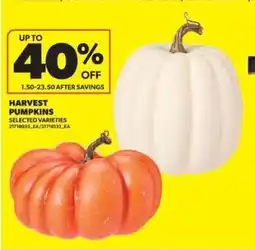 Real Canadian Superstore Harvest pumpkins offer