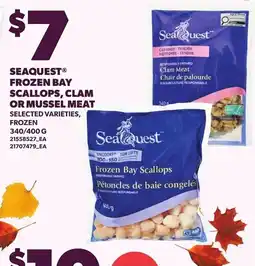 Loblaws Seaquest frozen bay scallops, clam or mussel meat offer