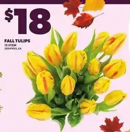 Loblaws Fall tulips offer