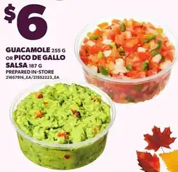 Loblaws Guacamole or Pico de Gallo Salsa offer