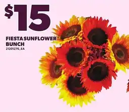 Loblaws Fiesta sunflower bunch offer