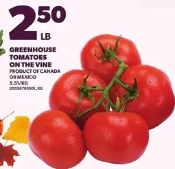 Loblaws Greenhouse tomatoes on the vine offer