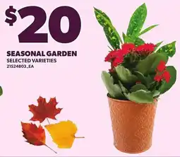 Loblaws Seasonal Garden offer