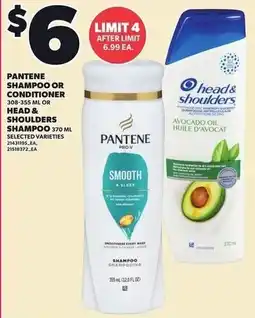 Loblaws Pantene shampoo or conditioner or head & shoulders shampoo offer