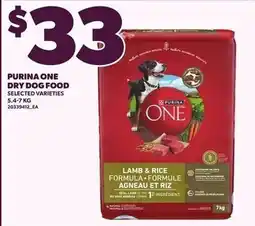 Loblaws Purina One dry dog food offer