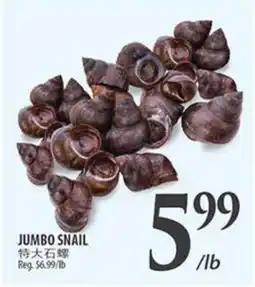 Al Premium Food Mart JUMBO SNAIL offer