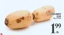Al Premium Food Mart LOTUS ROOTS offer