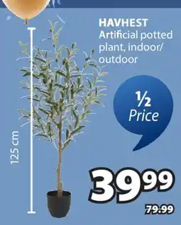 JYSK HAVHEST Artificial potted plant, indoor/outdoor offer