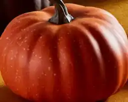 Walmart Pumpkin offer