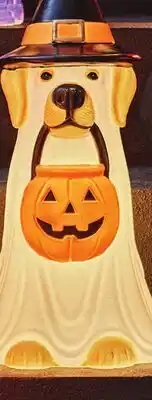 Walmart 18 Dog or cat with pumpkin trio blow mold offer