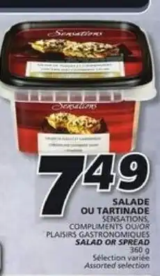 IGA Salade ou Tartinade offer