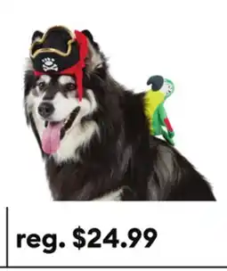 Petsmart Thrills & Chills Pirate Dog & Cat Costume Set offer