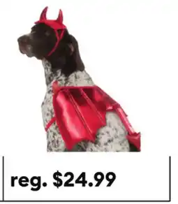 Petsmart Thrills & Chills Devil Dog & Cat Costume Set offer