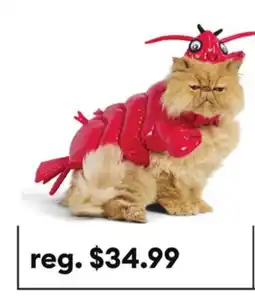 Petsmart Thrills & Chills Lobster Dog & Cat Costume offer