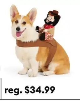 Petsmart Thrills & Chills Cowboy Dog Costume offer
