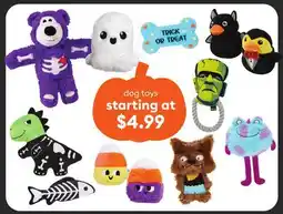 Petsmart dog toys offer