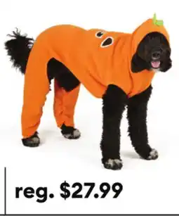 Petsmart Thrills & Chills Pumpkin Dog & Cat Sweatsuit offer