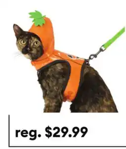 Petsmart Thrills & Chills Halloween Pumpkin Dog Costume Harness offer