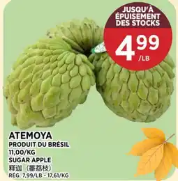Kim Phat SUGAR APPLE offer