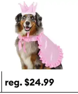 Petsmart Thrills & Chills Princess Dog & Cat Costume Set offer