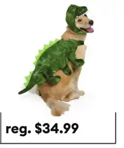 Petsmart Thrills & Chills Dinosaur Dog & Cat Costume offer